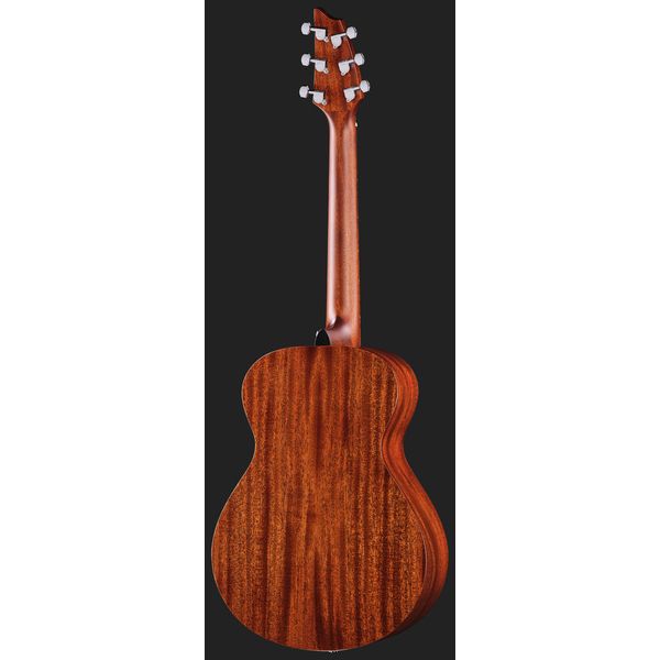 Breedlove Discovery S Companion