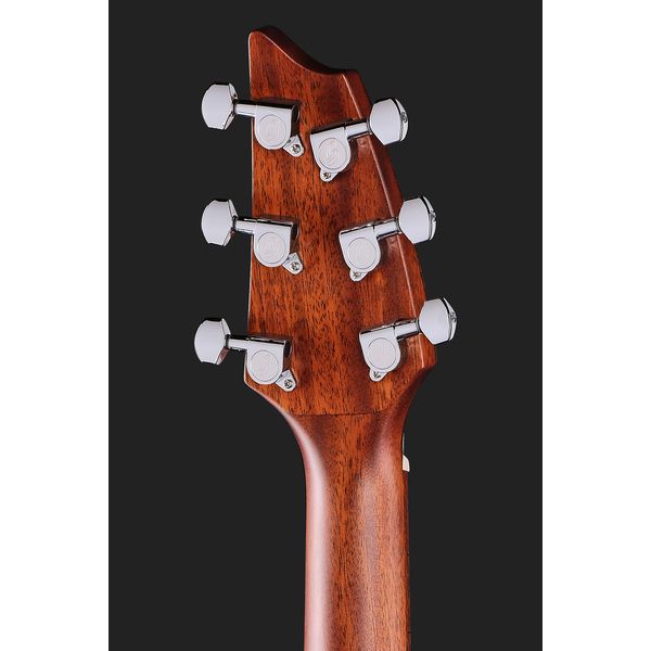 Breedlove Discovery S Companion