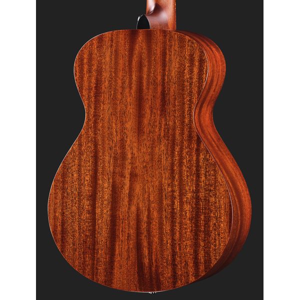 Breedlove Discovery S Companion