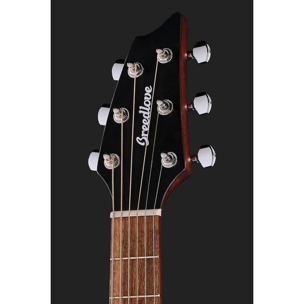 Breedlove Discovery S Companion