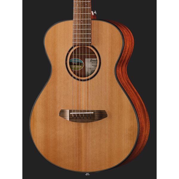 Breedlove Discovery S Companion