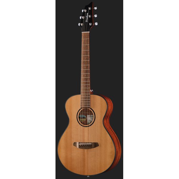 Breedlove Discovery S Companion