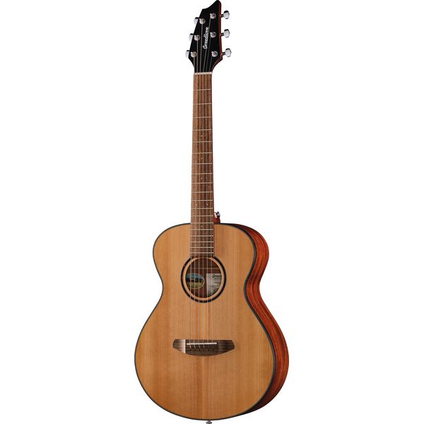 Breedlove Discovery S Companion