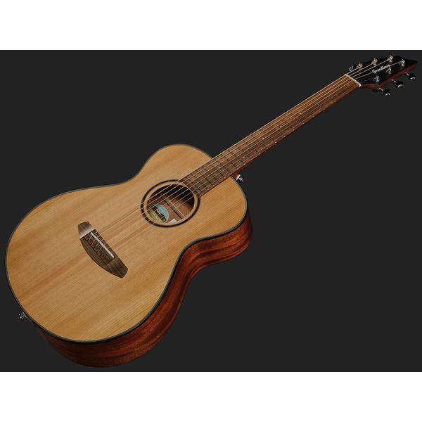 Breedlove Discovery S Companion