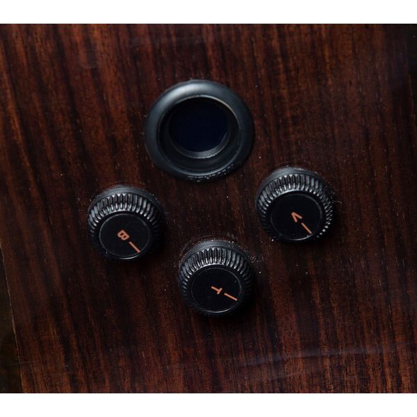 Breedlove Performer Pro ConcThin Rswd CE