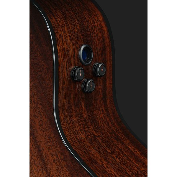 Breedlove Wildwood Pro Concert Suede CE