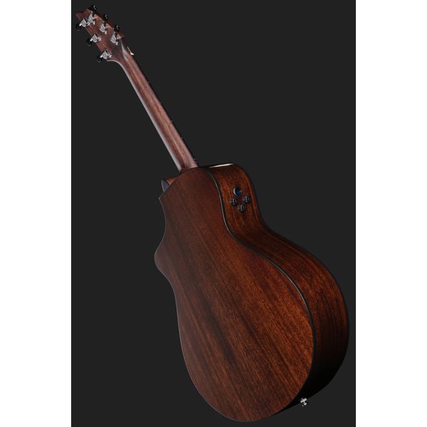 Breedlove Wildwood Pro Concert Suede CE