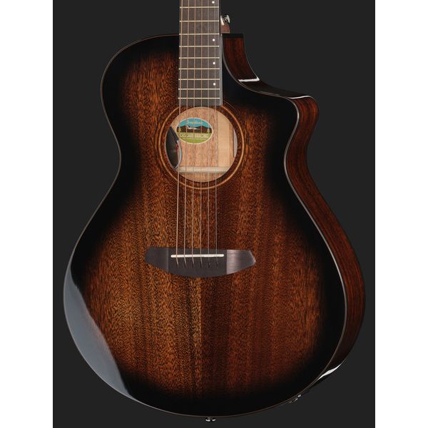 Breedlove Wildwood Pro Concert Suede CE