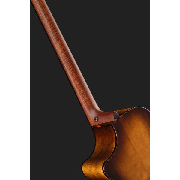 Breedlove Pursuit Exotic S Fretless Bass