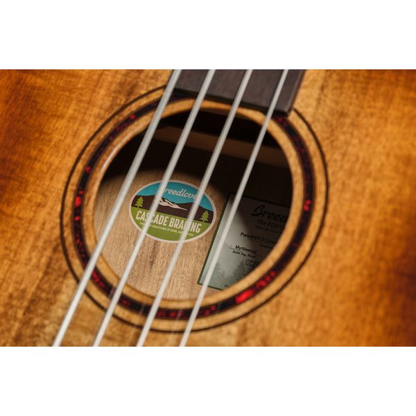 Breedlove Pursuit Exotic S Fretless Bass