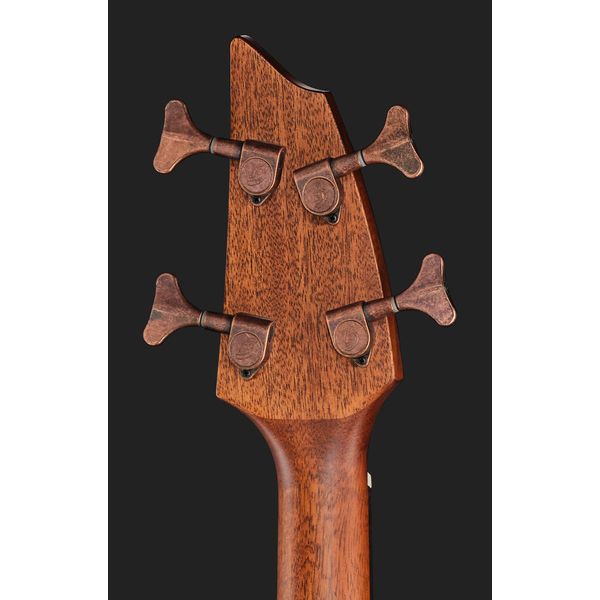 Breedlove Pursuit Exotic S Fretless Bass