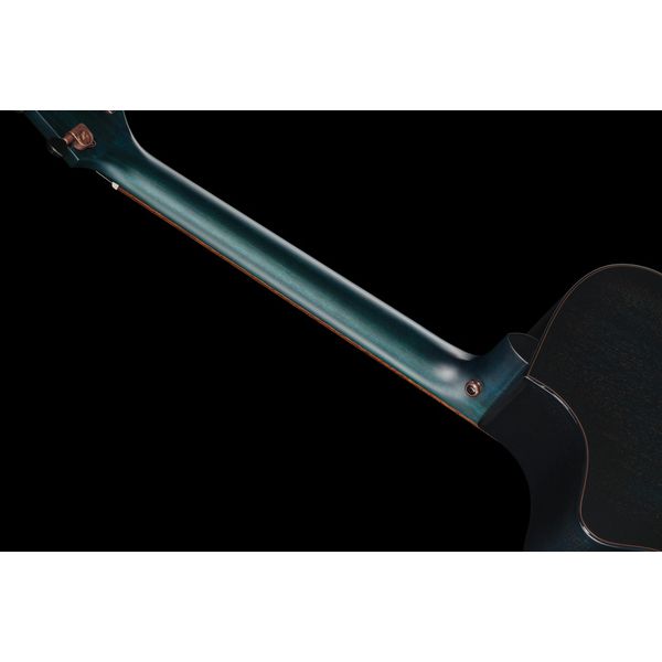 Breedlove Rainforest S Concert Papillon