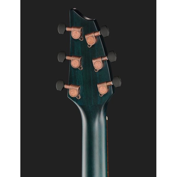 Breedlove Rainforest S Concert Papillon