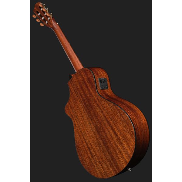 Breedlove Discovery S Concert Nylon CE