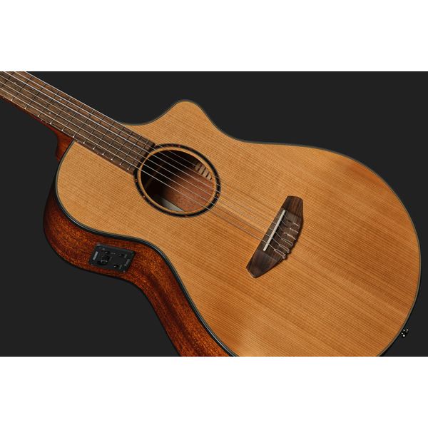 Breedlove Discovery S Concert Nylon CE