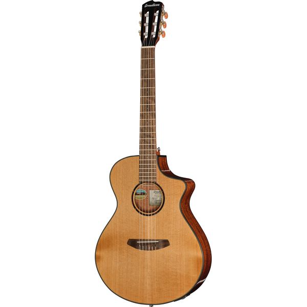 Breedlove Discovery S Concert Nylon CE
