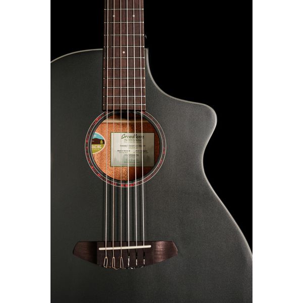 Breedlove Discovery S Conc Nylon CE BS