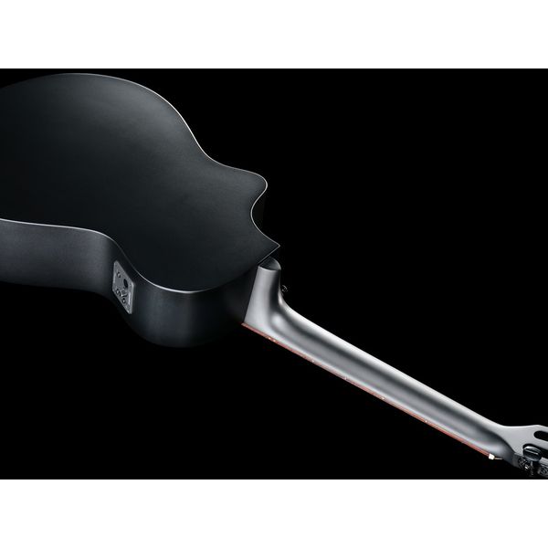 Breedlove Discovery S Conc Nylon CE BS