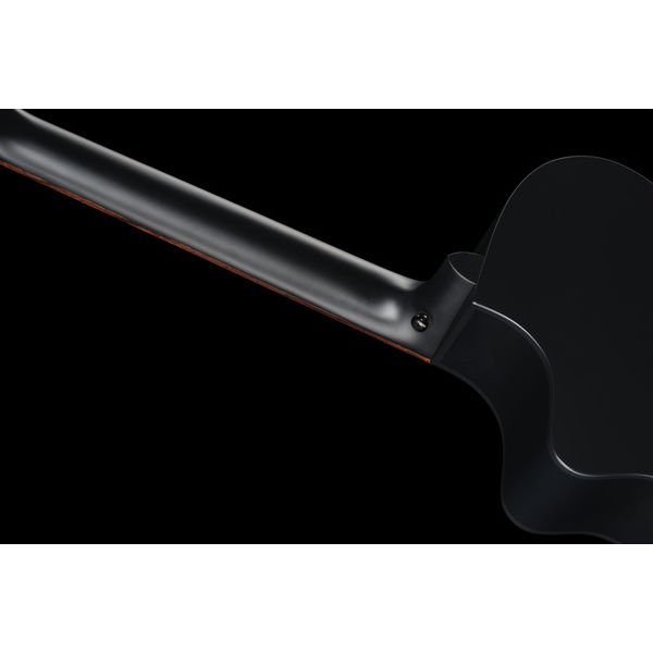 Breedlove Discovery S Conc 12-St CE BS