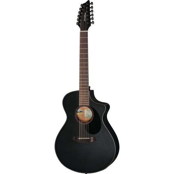 Breedlove Discovery S Conc 12-St CE BS
