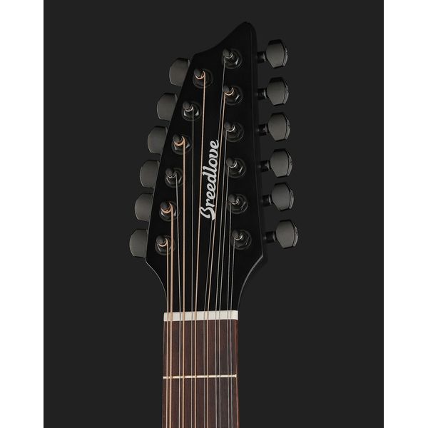 Breedlove Discovery S Conc 12-St CE BS