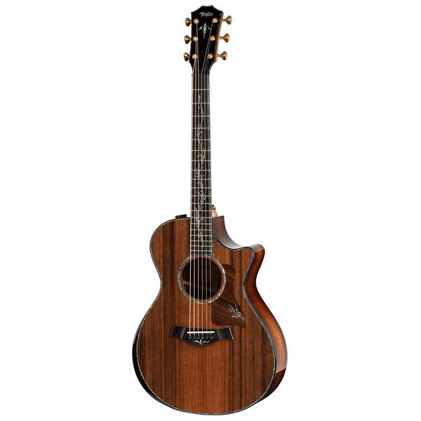 Taylor PS12ce Honduran Rosewood