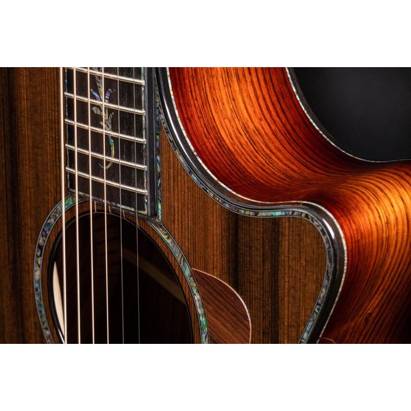 Taylor PS12ce Honduran Rosewood