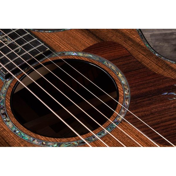 Taylor PS12ce Honduran Rosewood