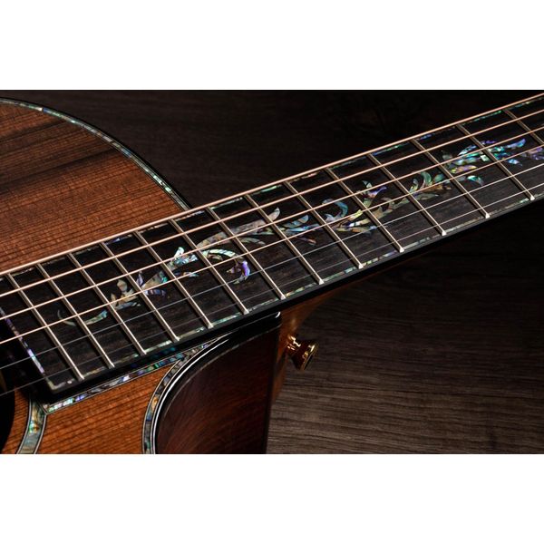 Taylor PS12ce Honduran Rosewood