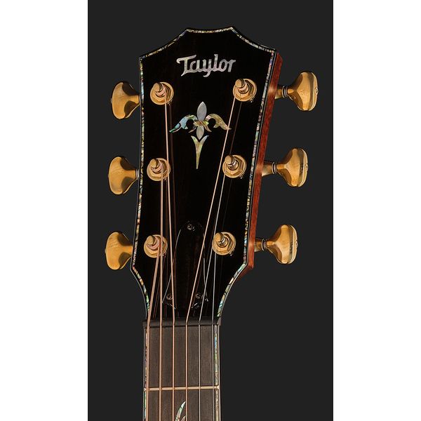Taylor PS12ce Honduran Rosewood