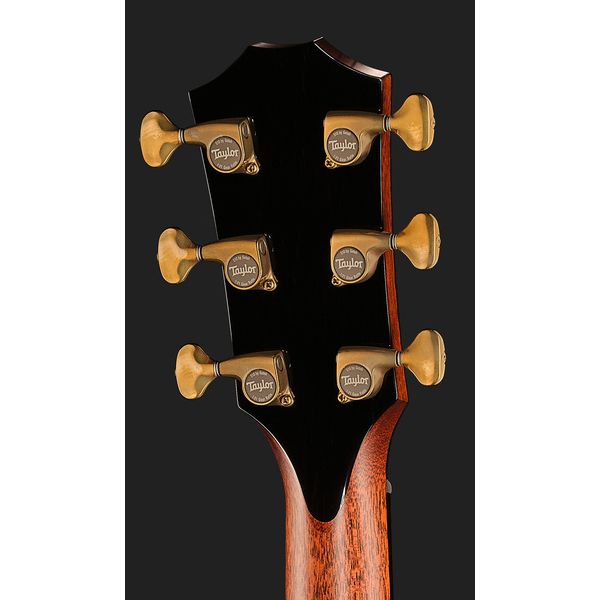 Taylor PS12ce Honduran Rosewood