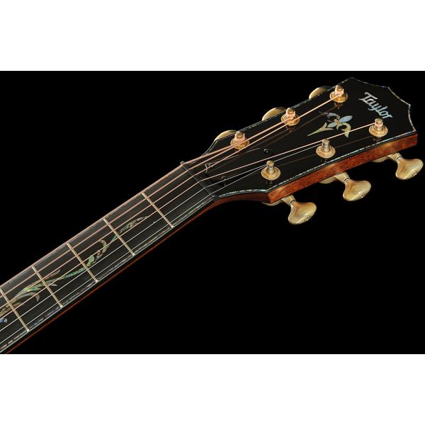 Taylor PS12ce Honduran Rosewood