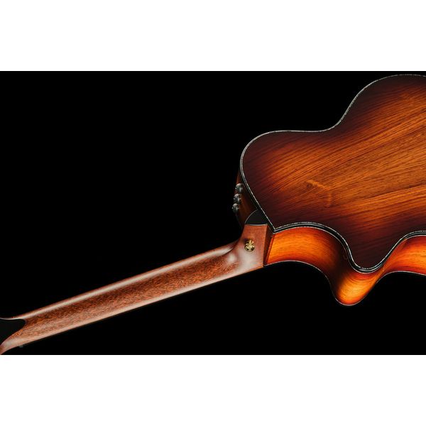 Taylor PS12ce Honduran Rosewood