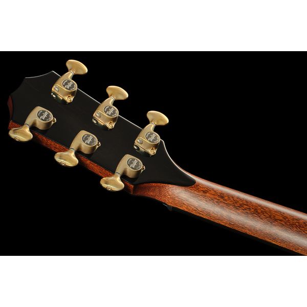 Taylor PS12ce Honduran Rosewood