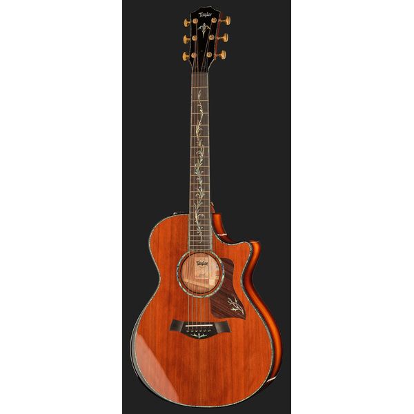 Taylor PS12ce Honduran Rosewood