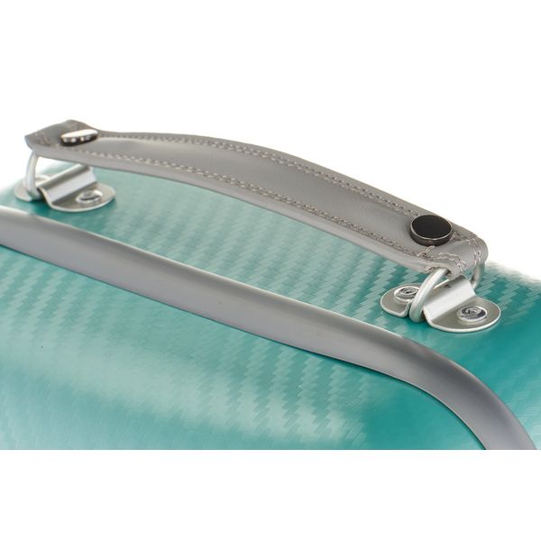 Gewa Pure Vn Case OC Fun G/G