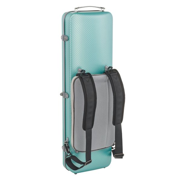 Gewa Pure Vn Case OC Fun G/G