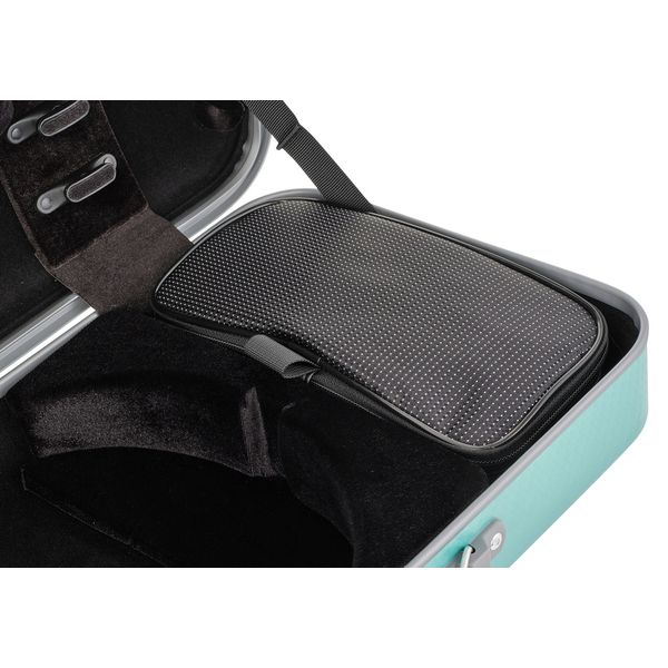 Gewa Pure Vn Case OC Fun G/G