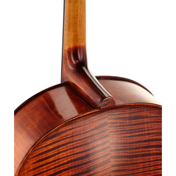 Stentor SR1591 Cello Elysia 4/4