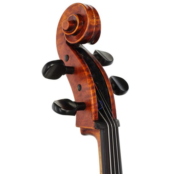 Stentor SR1596 Cello Arcadia 4/4