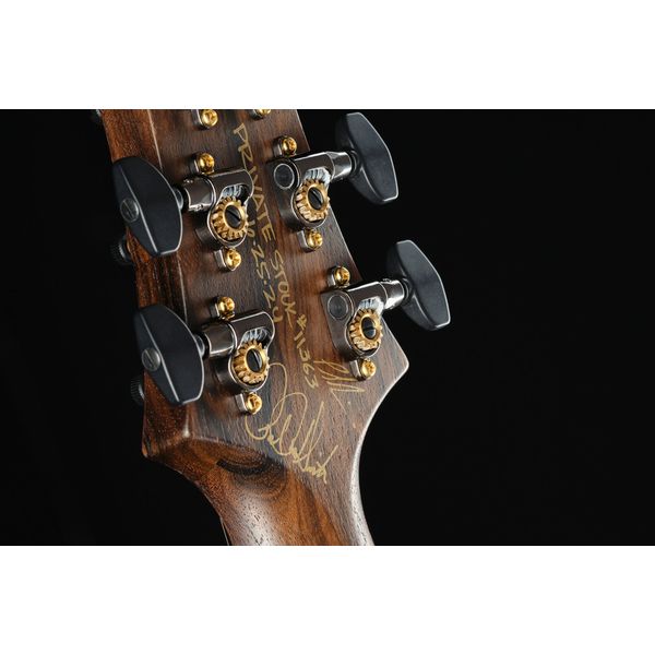 PRS Cu24 PS Sage Dragons Breath