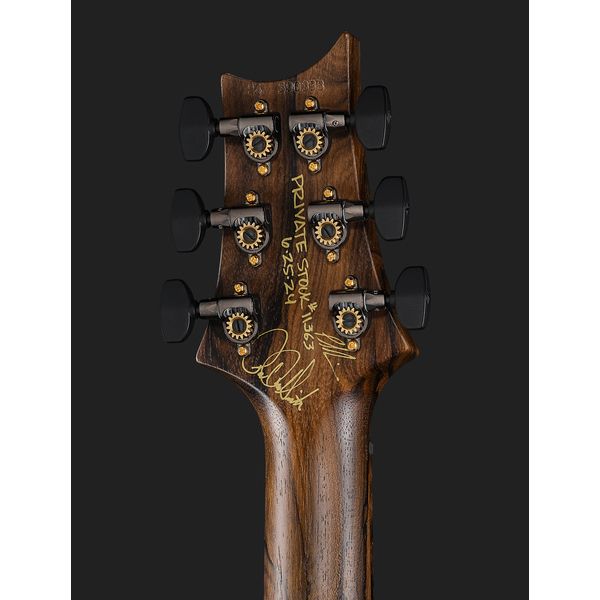 PRS Cu24 PS Sage Dragons Breath