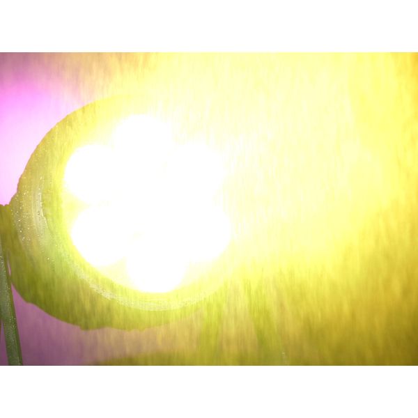 Eurolite AKKU IP PAR 7 QCL CRMX MK2