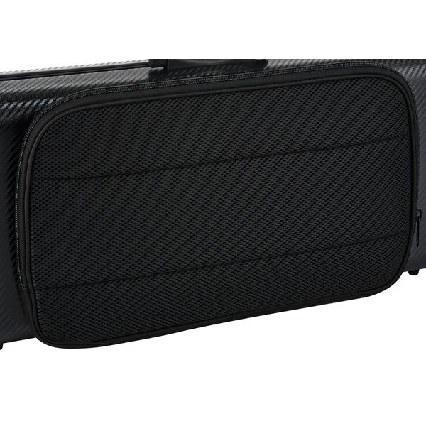 Roth & Junius PolyCarb Violin Case CAP-BK