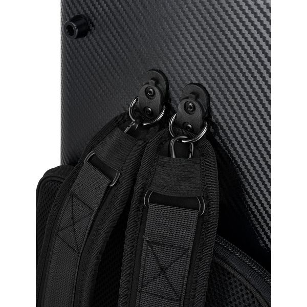 Roth & Junius PolyCarb Violin Case CAP-BK