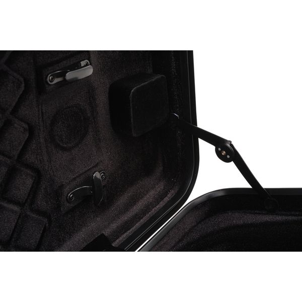 Roth & Junius PolyCarb Violin Case CAP-WH
