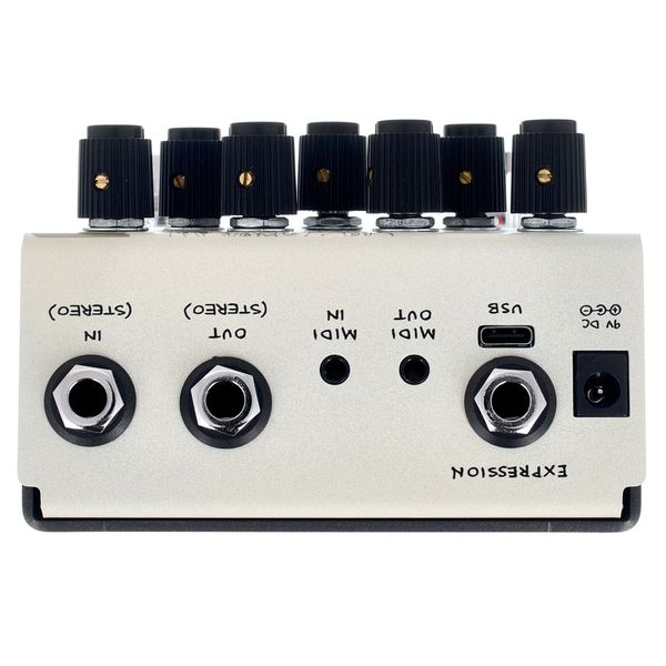 Old Blood Noise Endeavors Black Fountain Stereo Delay