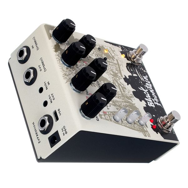 Old Blood Noise Endeavors Black Fountain Stereo Delay