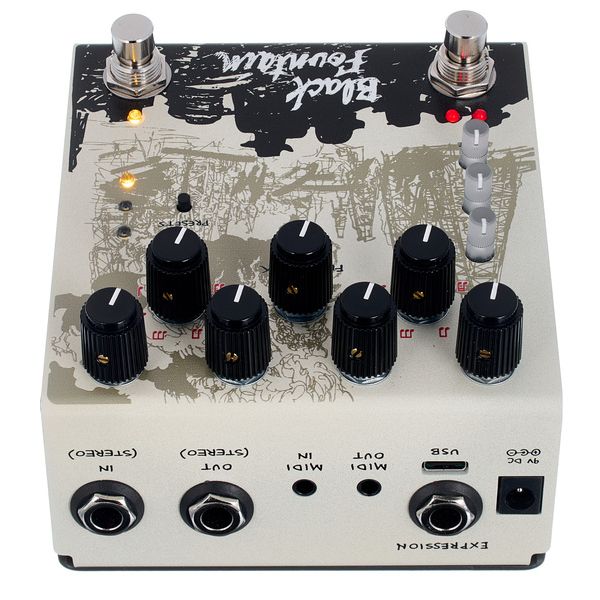 Old Blood Noise Endeavors Black Fountain Stereo Delay