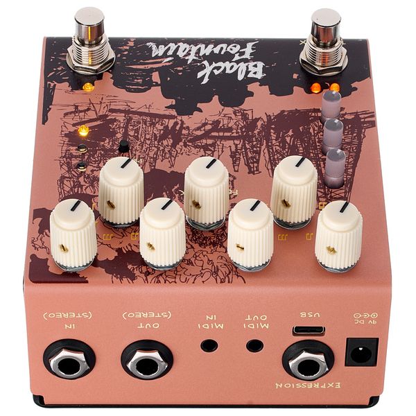 Old Blood Noise Endeavors Black Fountain Stereo Delay TE